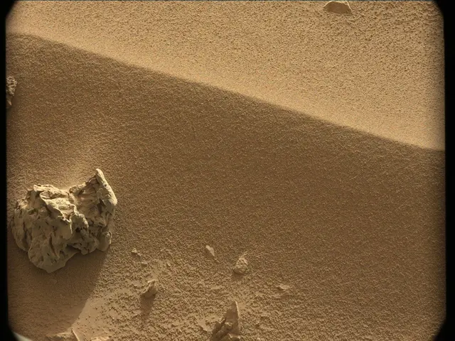 Sol 56: Mast Camera (Mastcam)