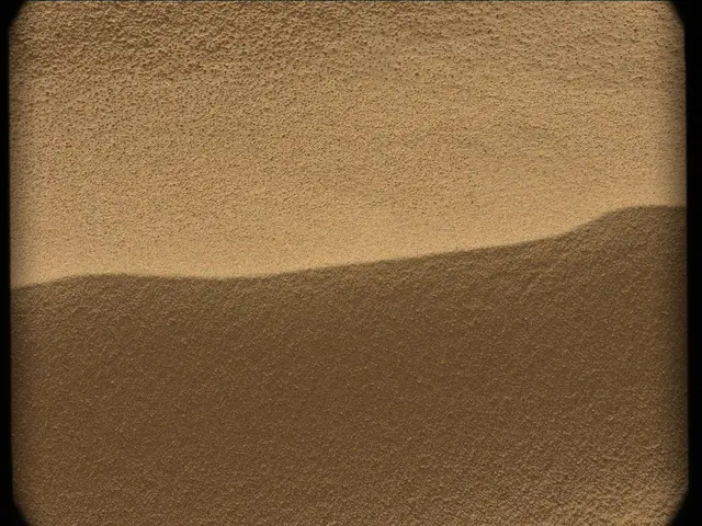 Sol 56: Mast Camera (Mastcam)