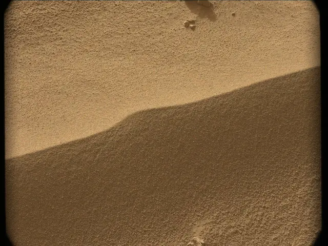 Sol 56: Mast Camera (Mastcam)