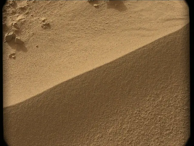 Sol 56: Mast Camera (Mastcam)
