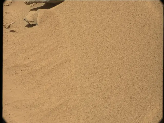 Sol 56: Mast Camera (Mastcam)