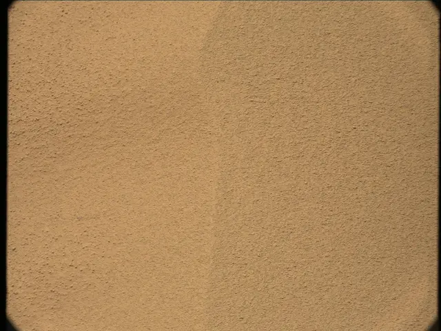 Sol 56: Mast Camera (Mastcam)
