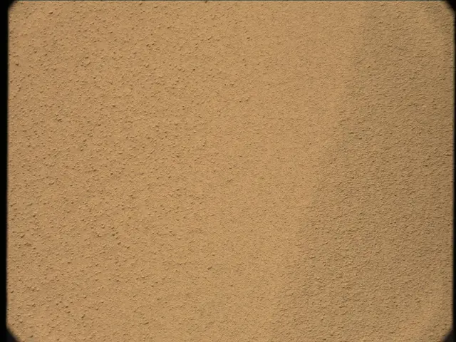 Sol 56: Mast Camera (Mastcam)