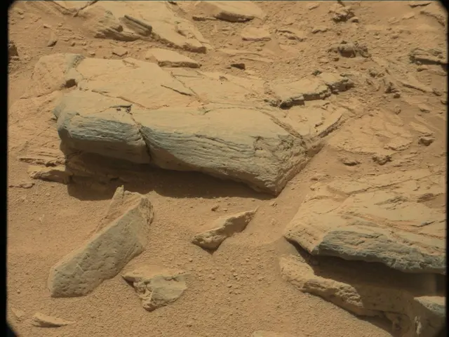 Sol 56: Mast Camera (Mastcam)