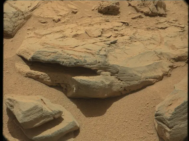 Sol 56: Mast Camera (Mastcam)