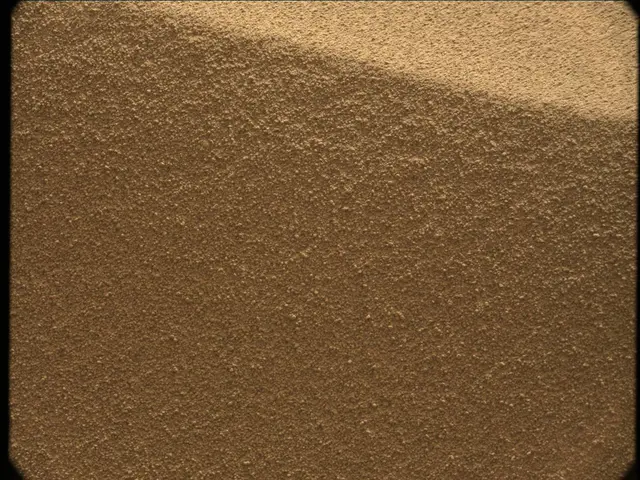 Sol 56: Mast Camera (Mastcam)