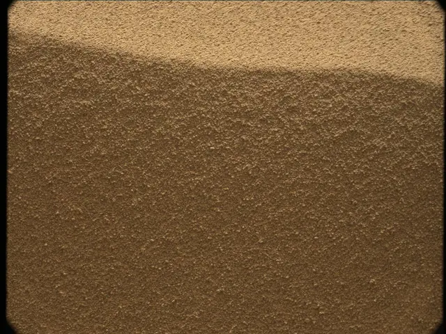 Sol 56: Mast Camera (Mastcam)