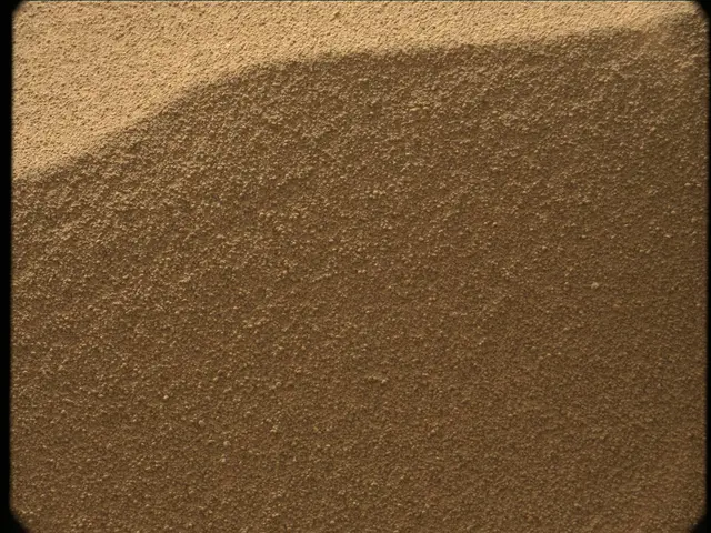 Sol 56: Mast Camera (Mastcam)