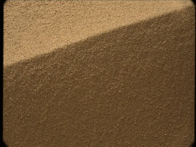 Sol 56: Mast Camera (Mastcam)
