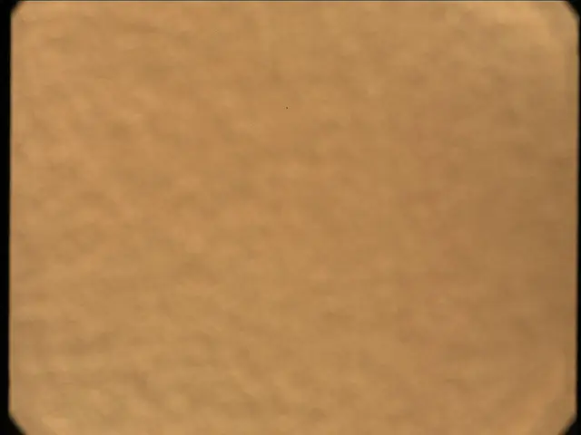 Sol 56: Mast Camera (Mastcam)