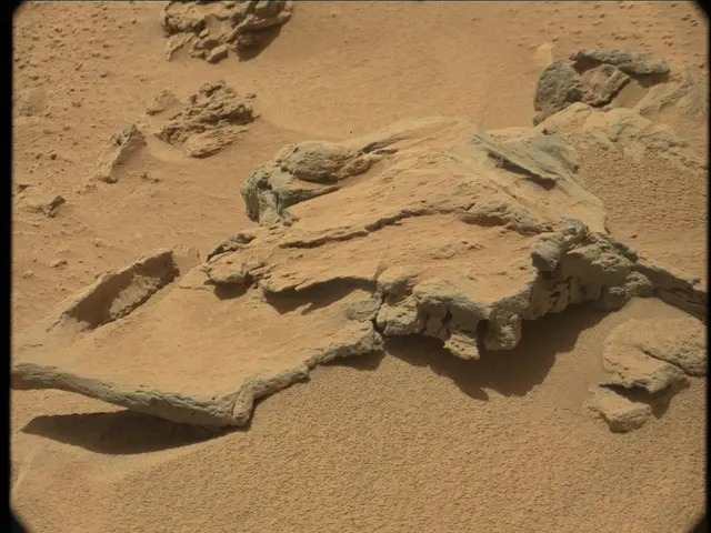 Sol 59: Mast Camera (Mastcam)