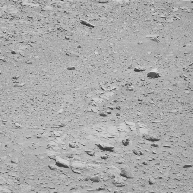 Sol 60: Mast Camera (Mastcam)