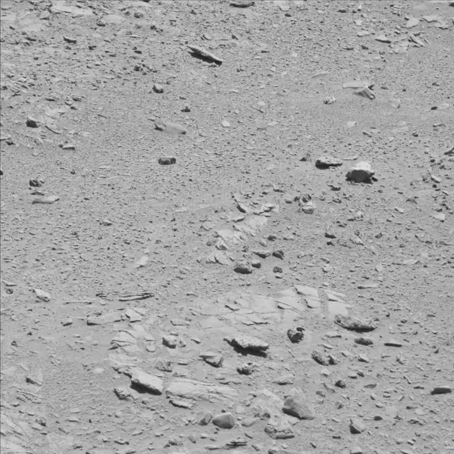 Sol 60: Mast Camera (Mastcam)