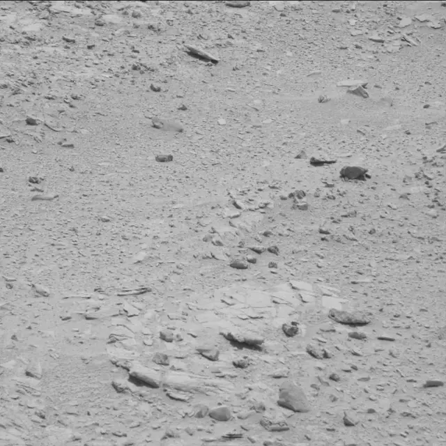 Sol 60: Mast Camera (Mastcam)