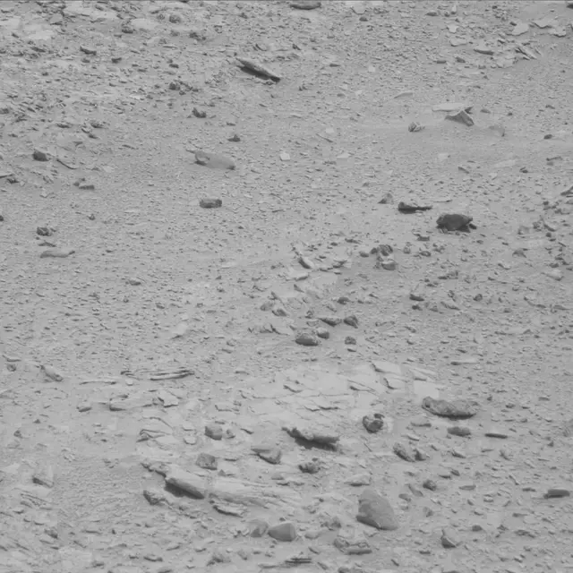 Sol 60: Mast Camera (Mastcam)