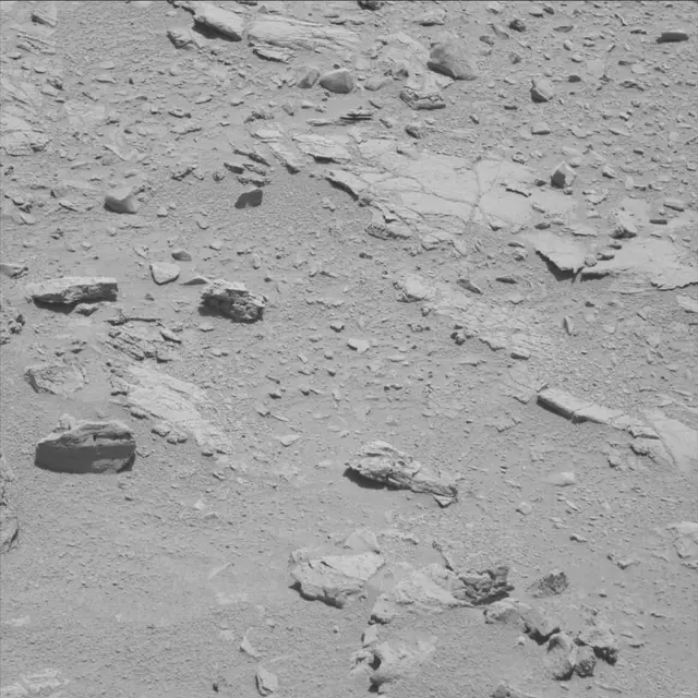 Sol 60: Mast Camera (Mastcam)