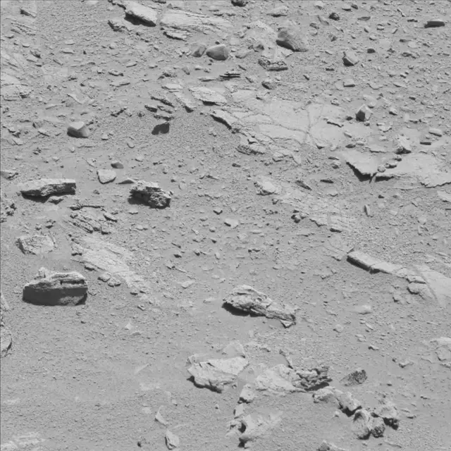 Sol 60: Mast Camera (Mastcam)