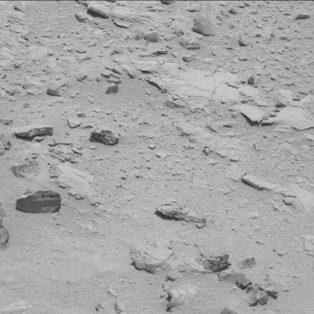 Sol 60: Mast Camera (Mastcam)