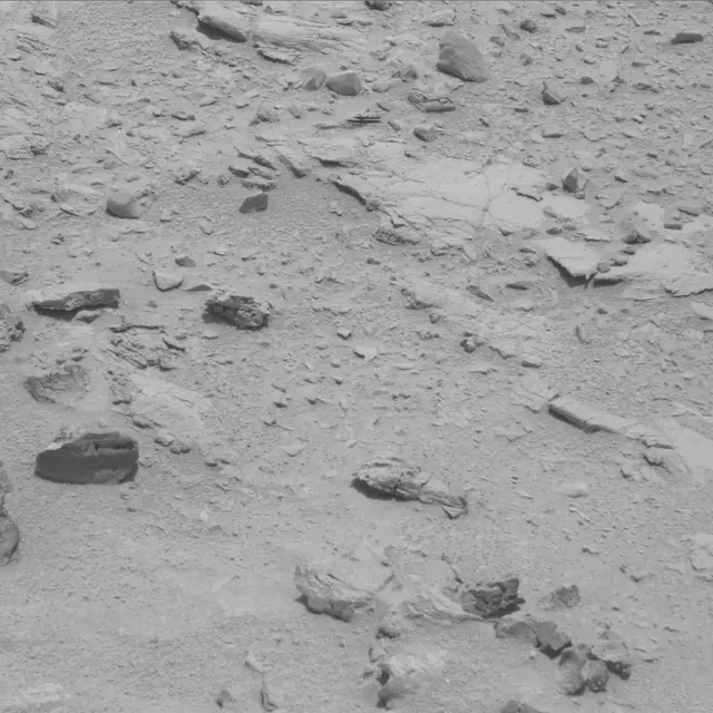 Sol 60: Mast Camera (Mastcam)