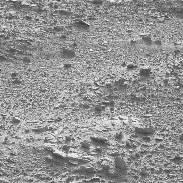 Sol 60: Mast Camera (Mastcam)