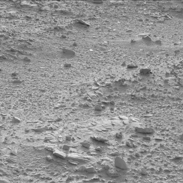 Sol 60: Mast Camera (Mastcam)
