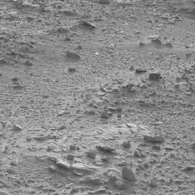 Sol 60: Mast Camera (Mastcam)