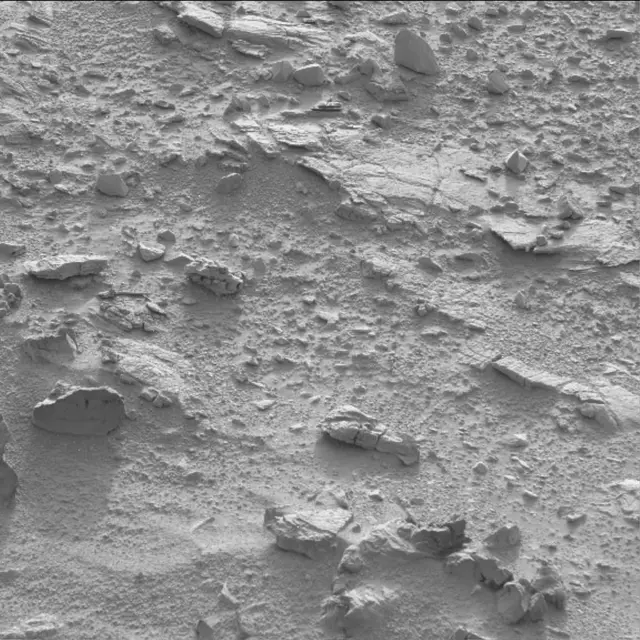 Sol 60: Mast Camera (Mastcam)