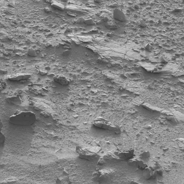 Sol 60: Mast Camera (Mastcam)