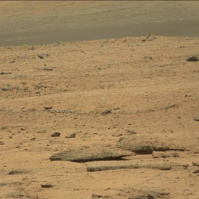 Sol 60: Mast Camera (Mastcam)