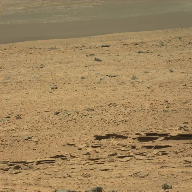 Sol 60: Mast Camera (Mastcam)
