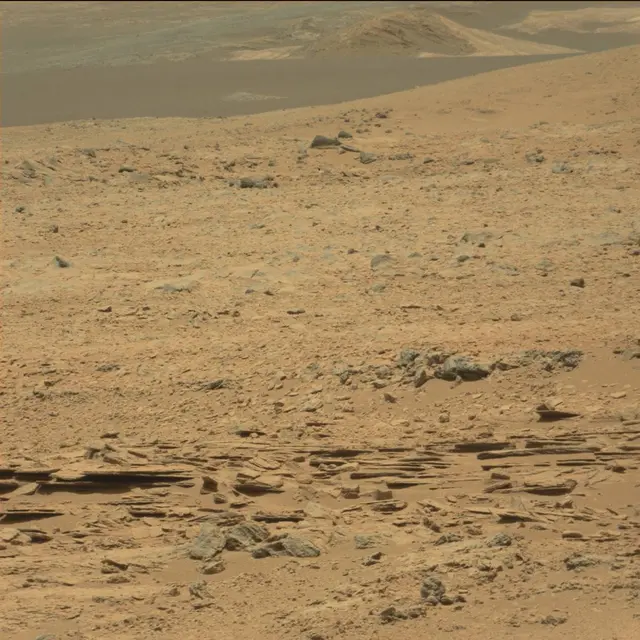 Sol 60: Mast Camera (Mastcam)