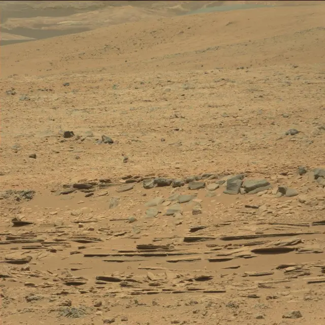 Sol 60: Mast Camera (Mastcam)
