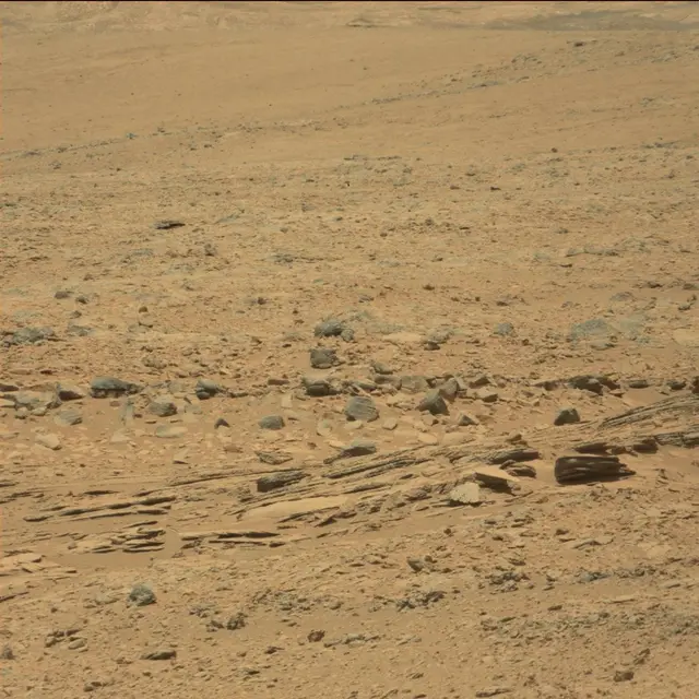 Sol 60: Mast Camera (Mastcam)
