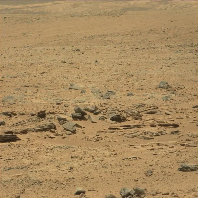 Sol 60: Mast Camera (Mastcam)