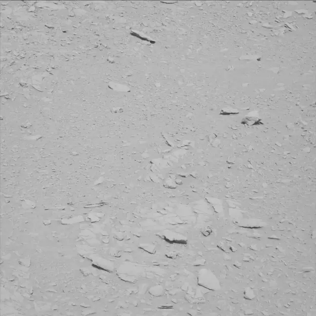 Sol 61: Mast Camera (Mastcam)