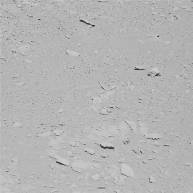 Sol 61: Mast Camera (Mastcam)