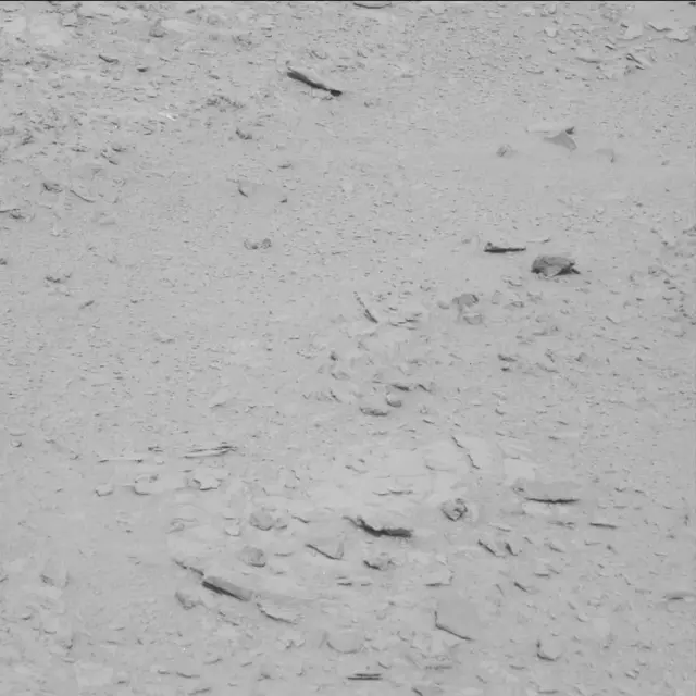 Sol 61: Mast Camera (Mastcam)
