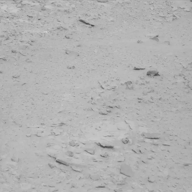 Sol 61: Mast Camera (Mastcam)