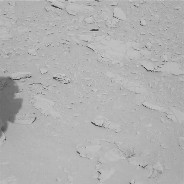 Sol 61: Mast Camera (Mastcam)