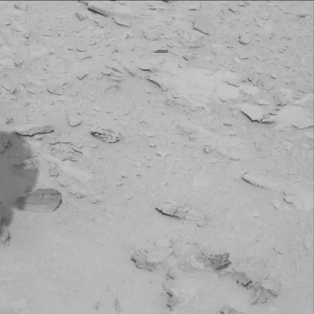 Sol 61: Mast Camera (Mastcam)