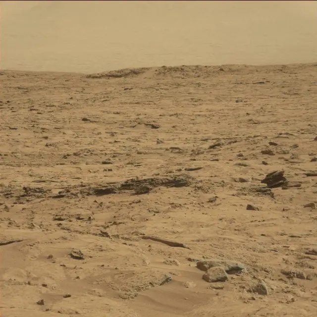 Sol 64: Mast Camera (Mastcam)