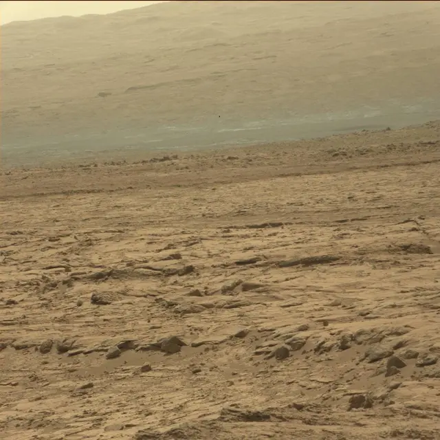 Sol 64: Mast Camera (Mastcam)