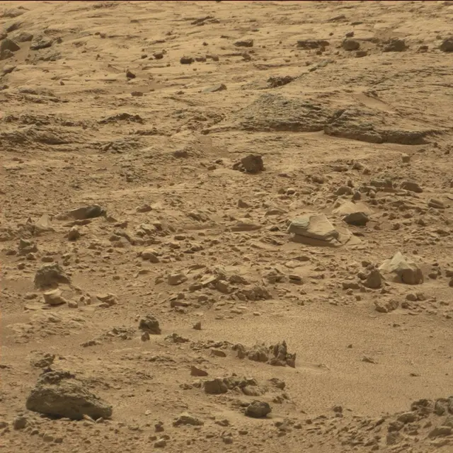 Sol 64: Mast Camera (Mastcam)