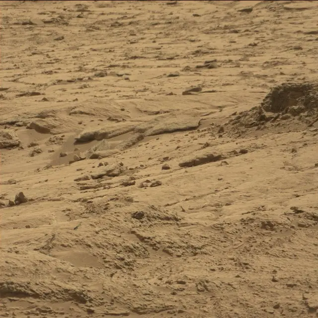 Sol 64: Mast Camera (Mastcam)
