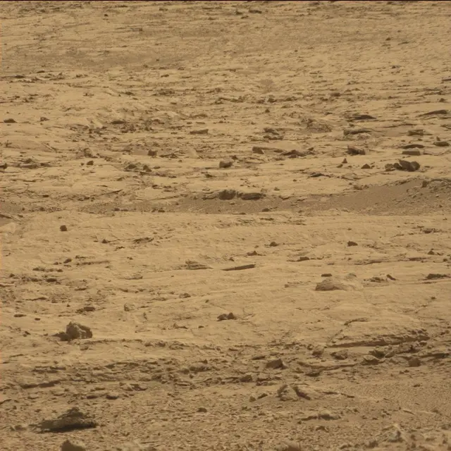 Sol 64: Mast Camera (Mastcam)