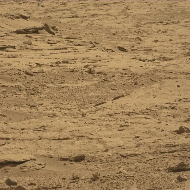 Sol 64: Mast Camera (Mastcam)