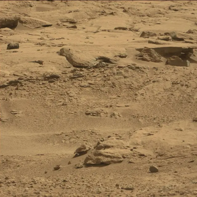 Sol 64: Mast Camera (Mastcam)