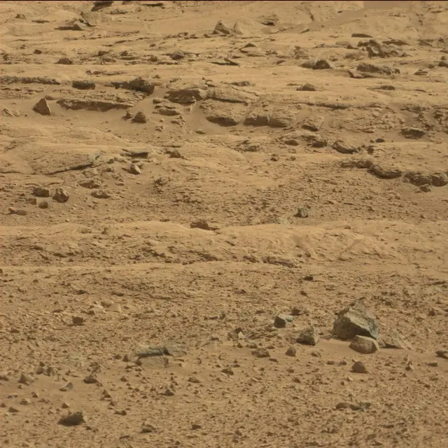 Sol 64: Mast Camera (Mastcam)
