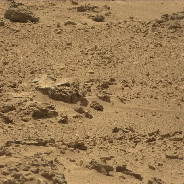 Sol 64: Mast Camera (Mastcam)