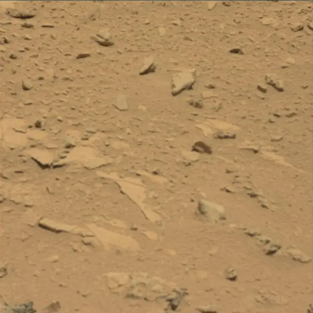 Sol 66: Mast Camera (Mastcam)